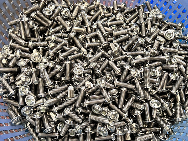 Titanium fasteners/screw/nuts